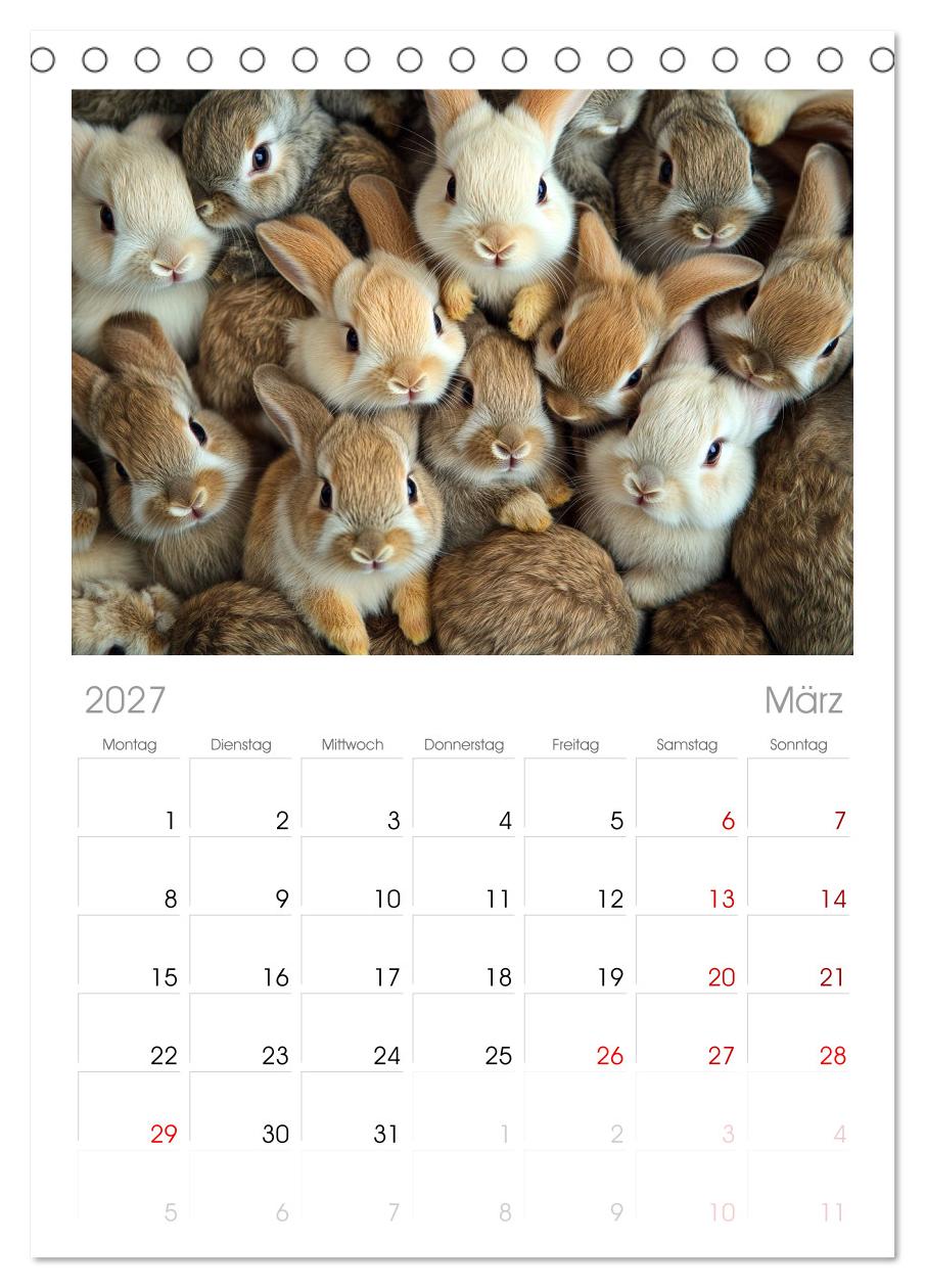 Kuschelblicke