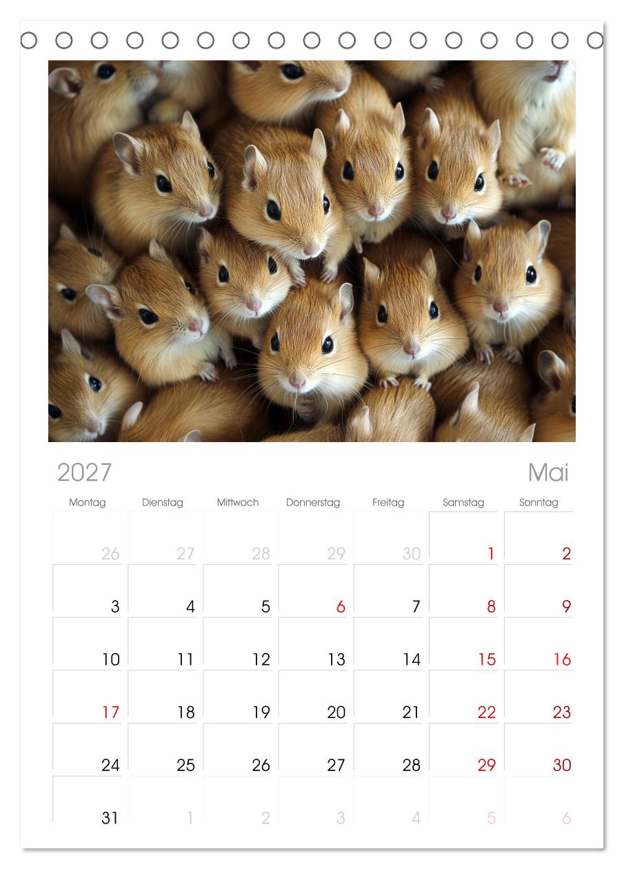 Kuschelblicke