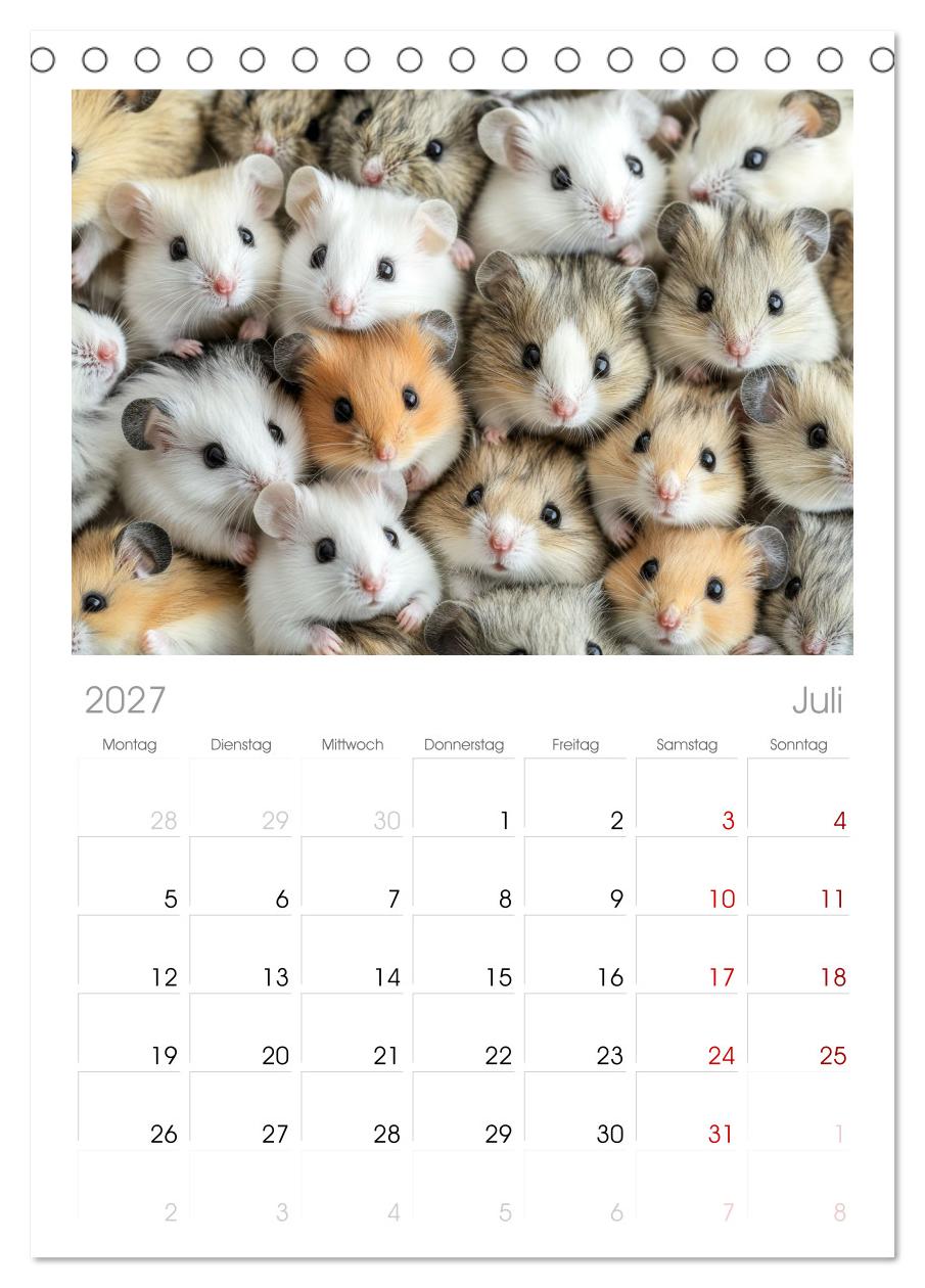 Kuschelblicke