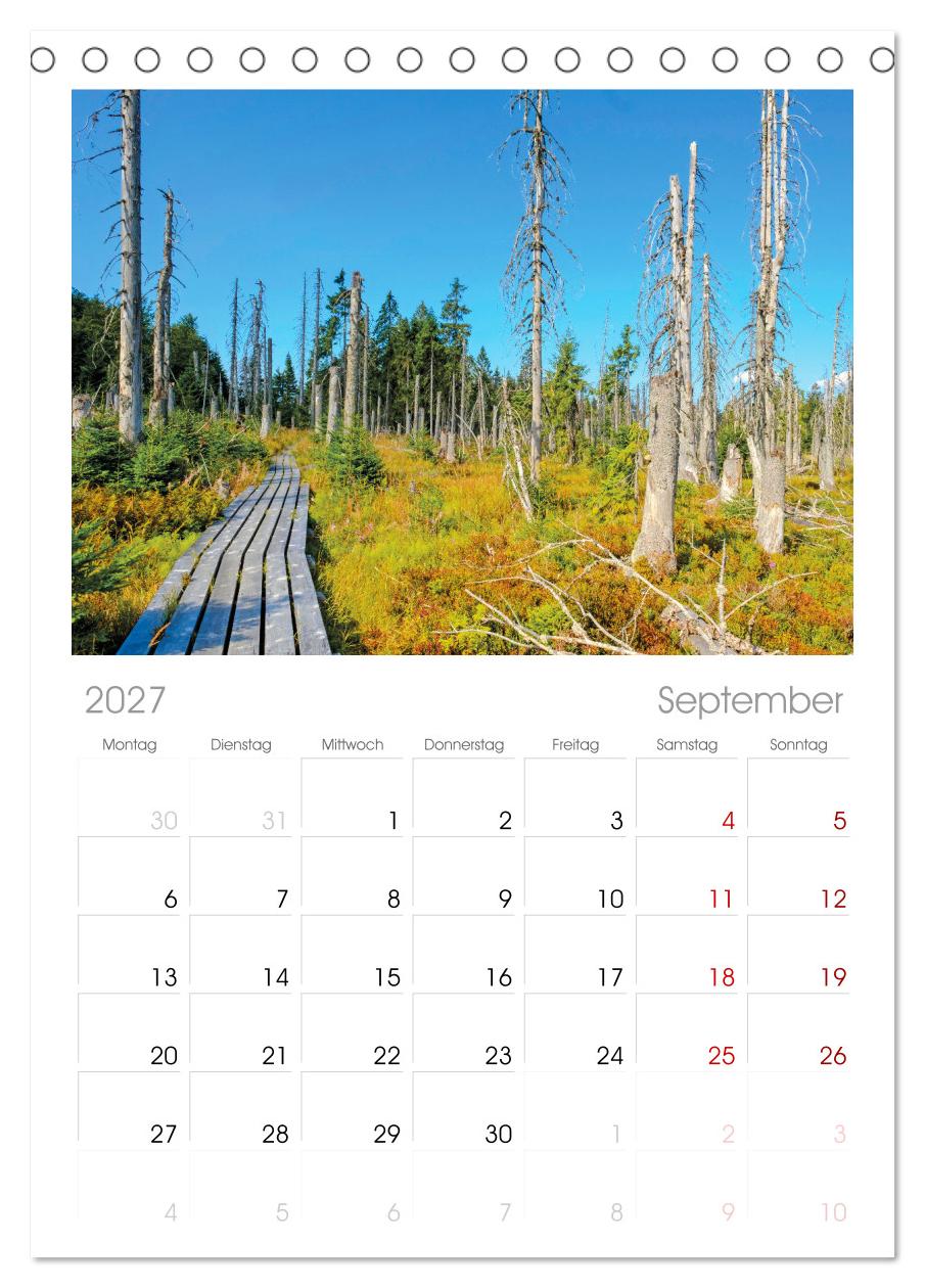 Arber, Rachel und Lusen: Der Hintere Bayerische Wald