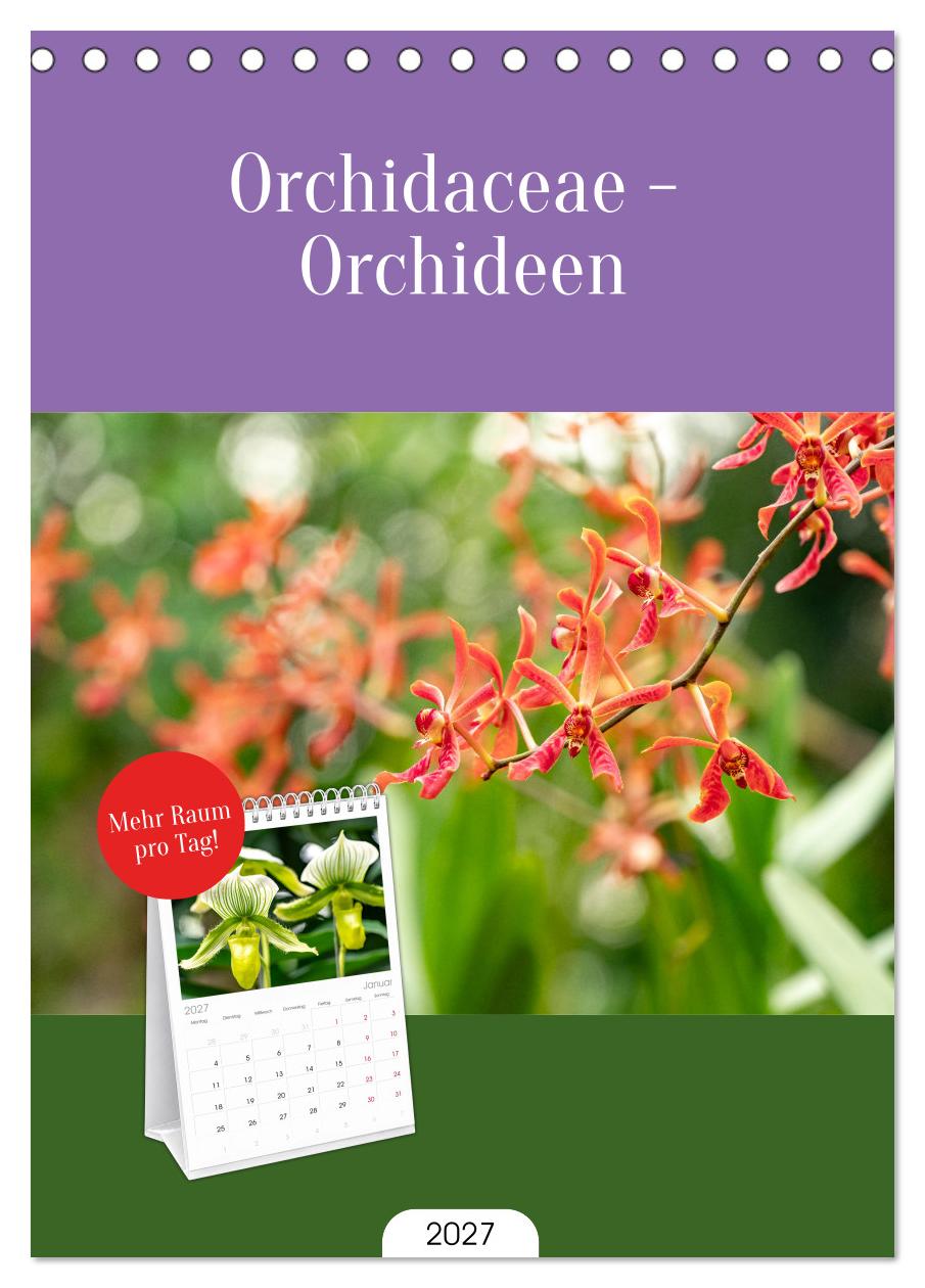 Orchidaceae - Orchideen
