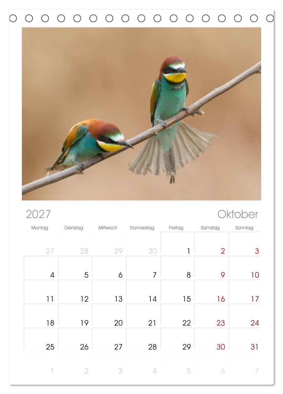 Bunte Flieger