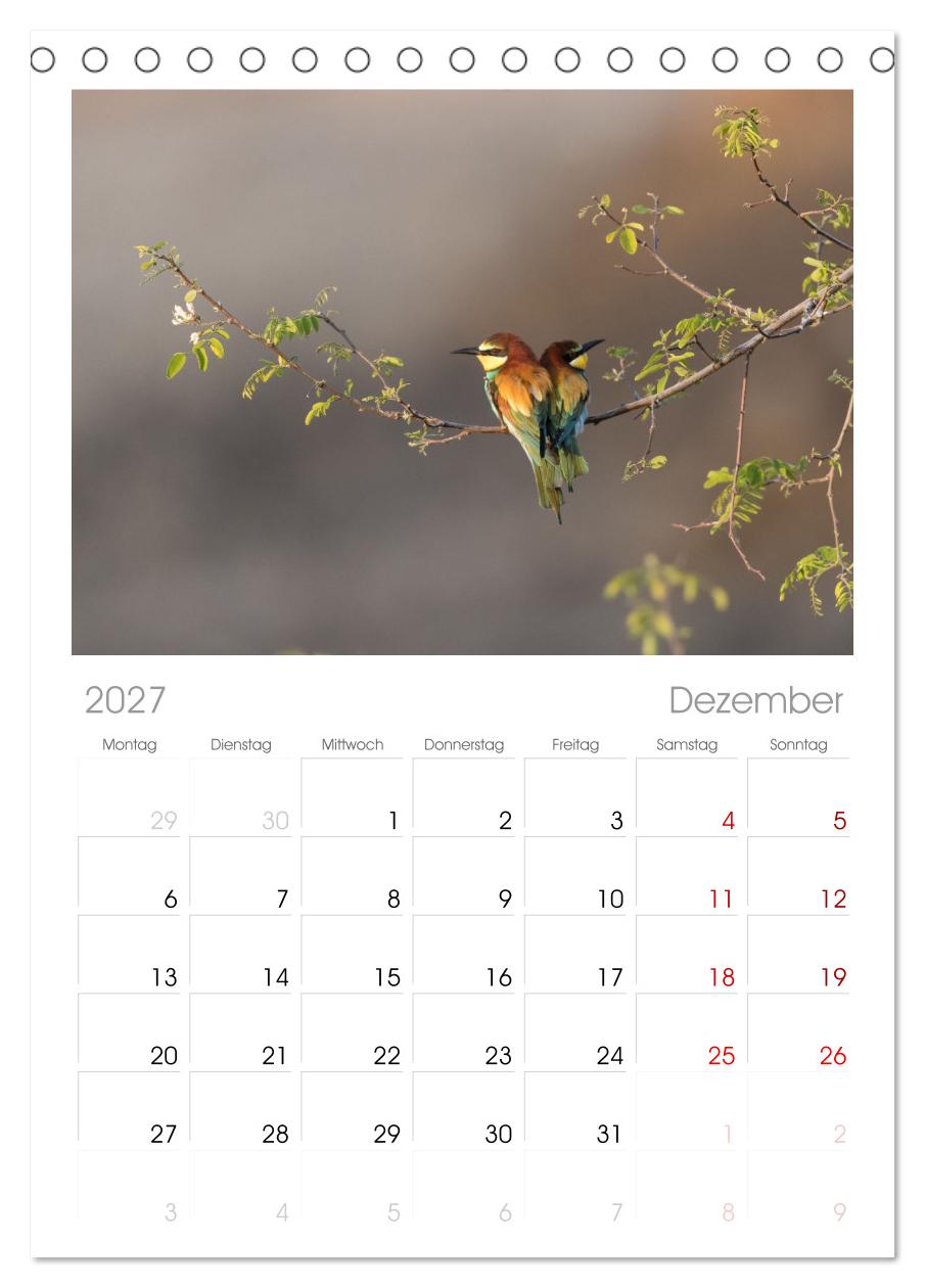 Bunte Flieger