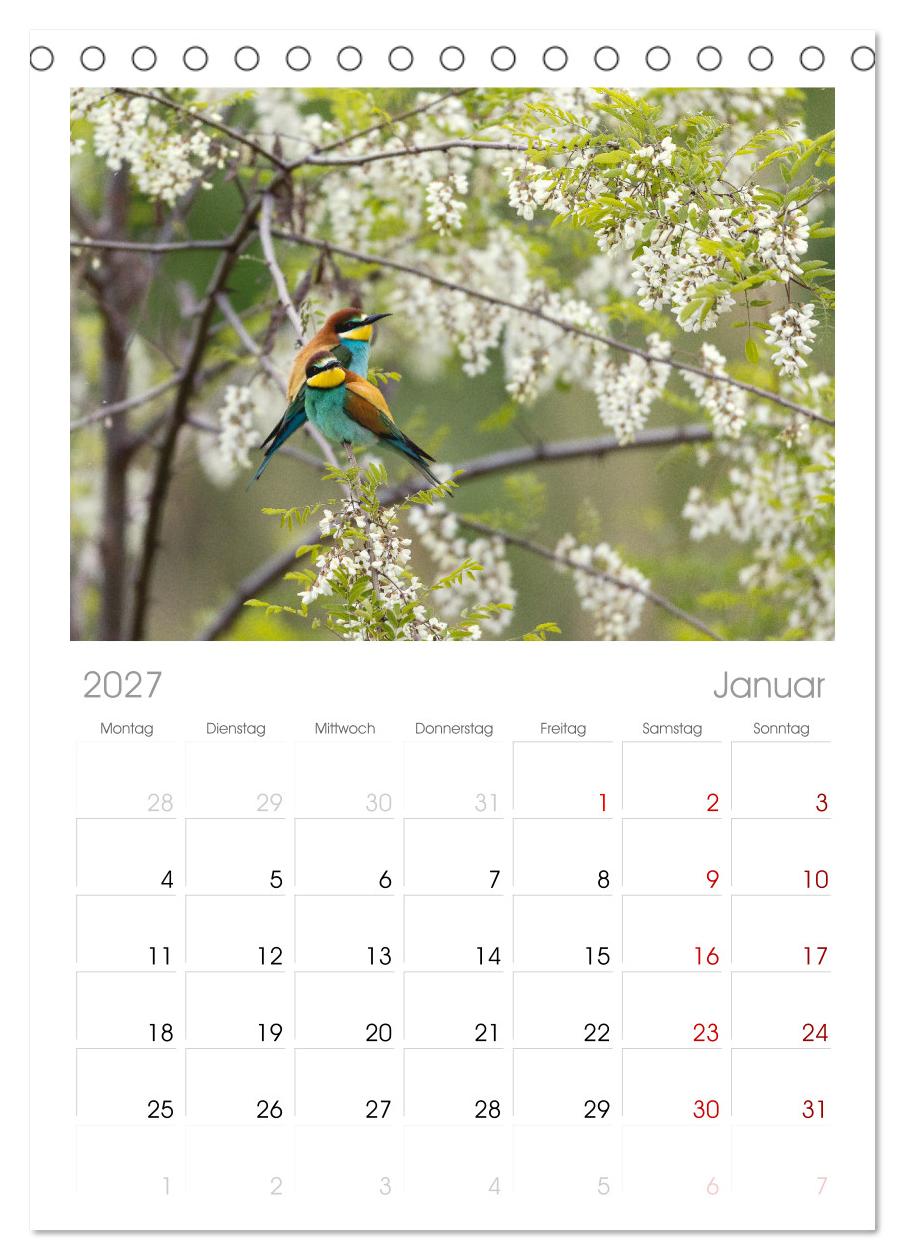 Bunte Flieger