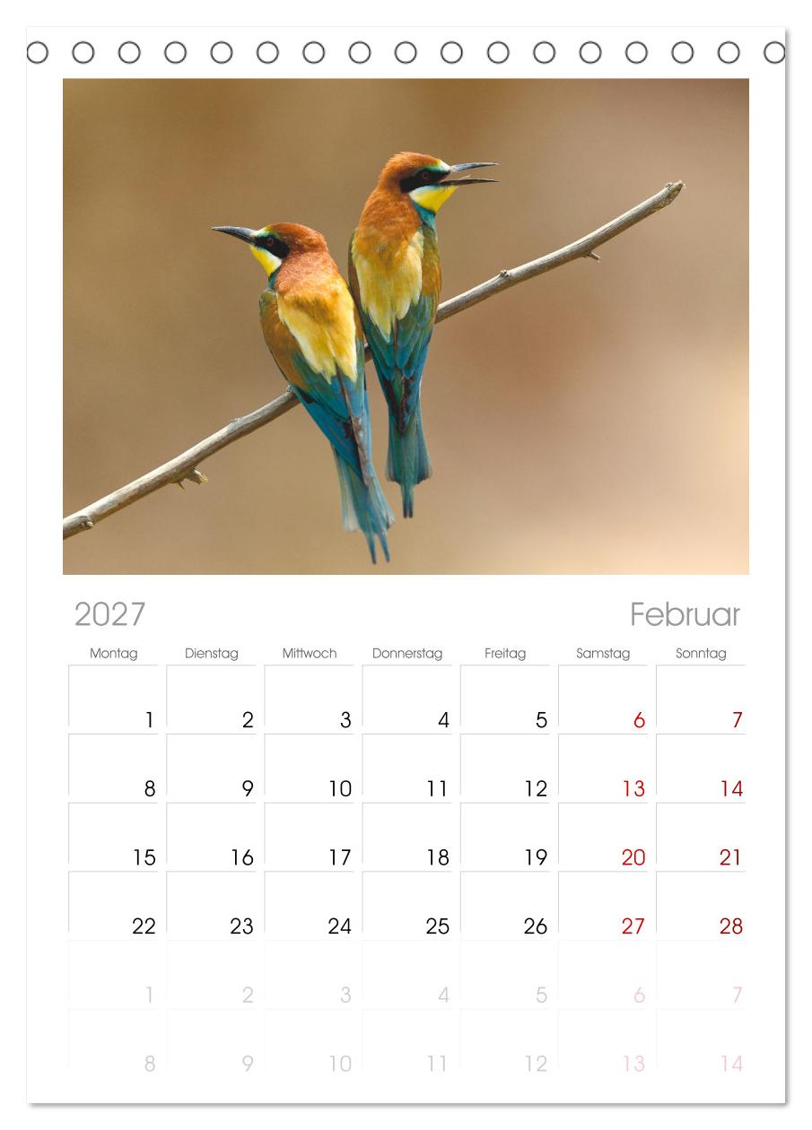 Bunte Flieger