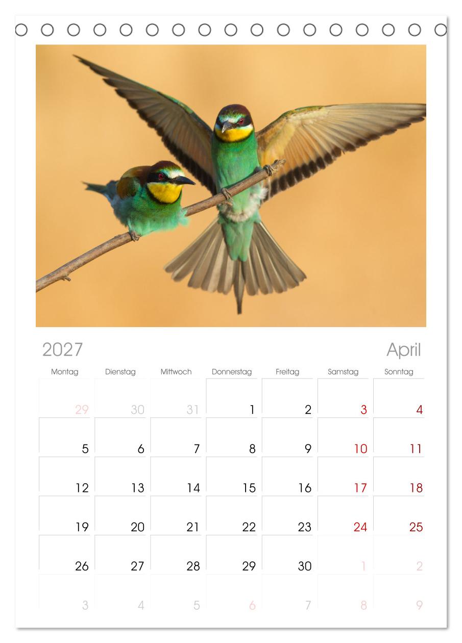 Bunte Flieger