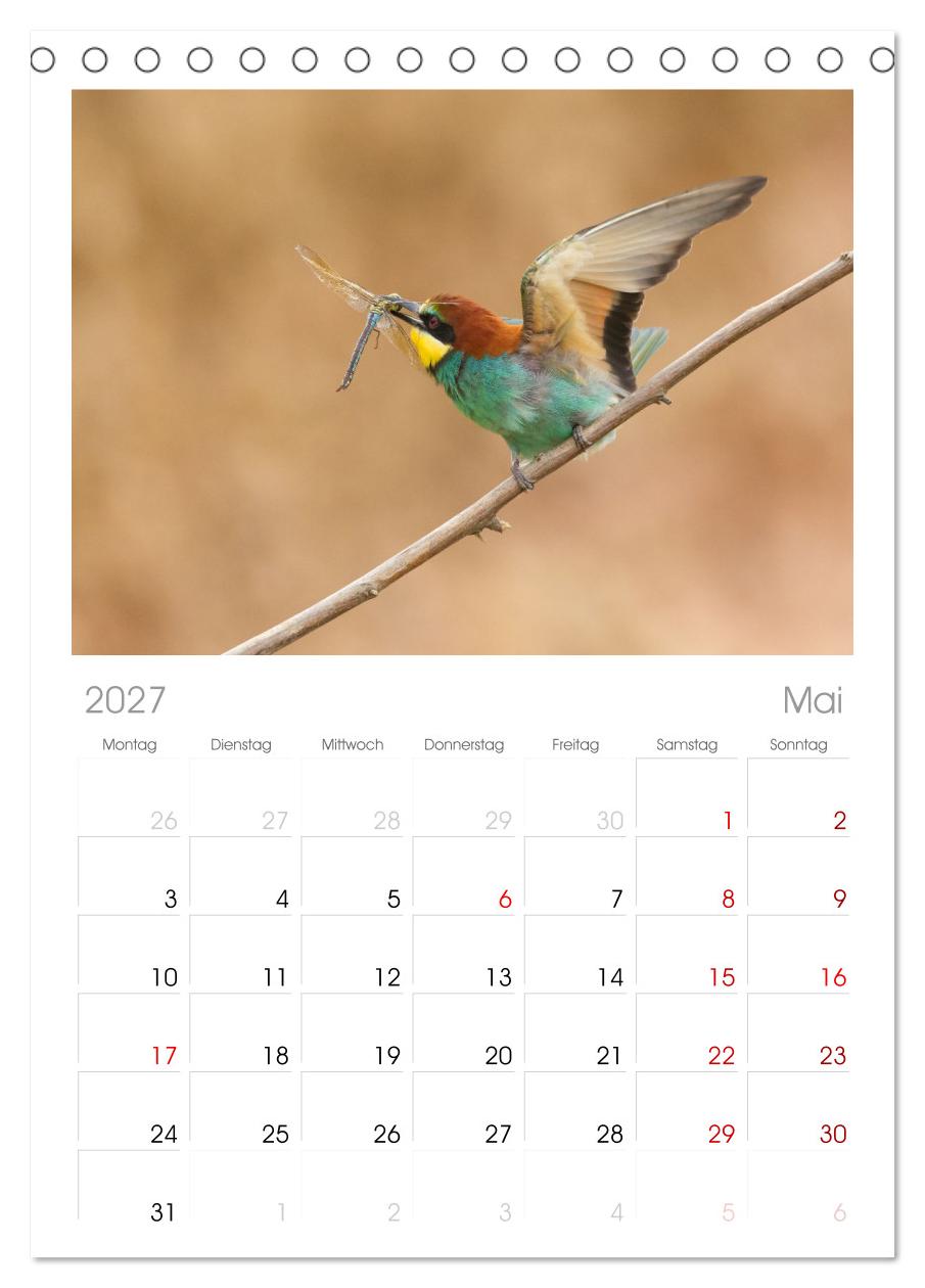 Bunte Flieger
