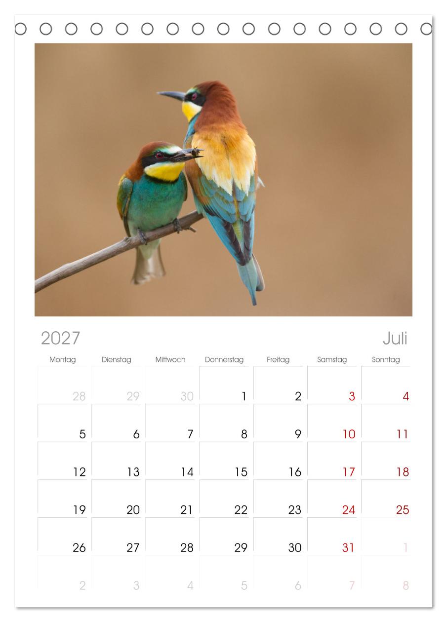 Bunte Flieger