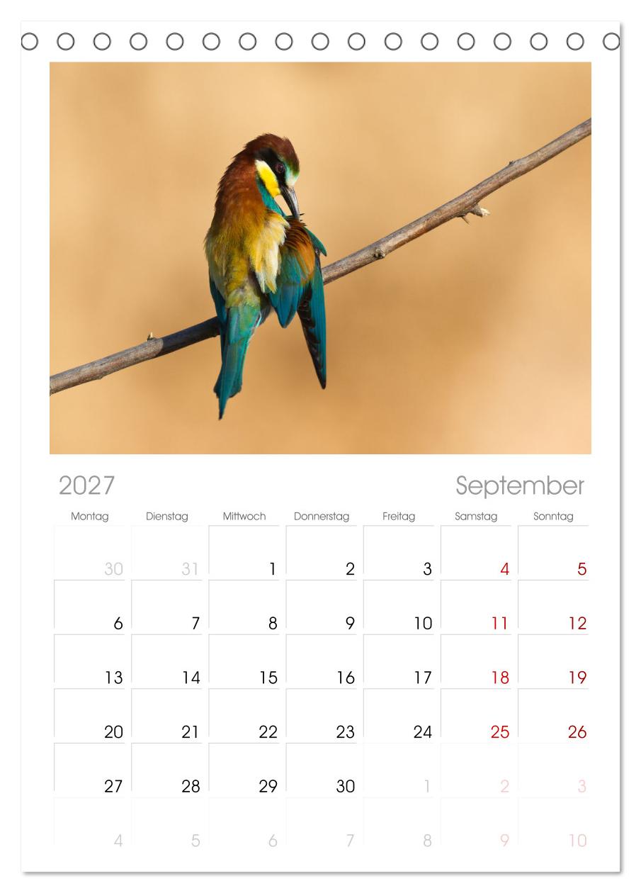 Bunte Flieger