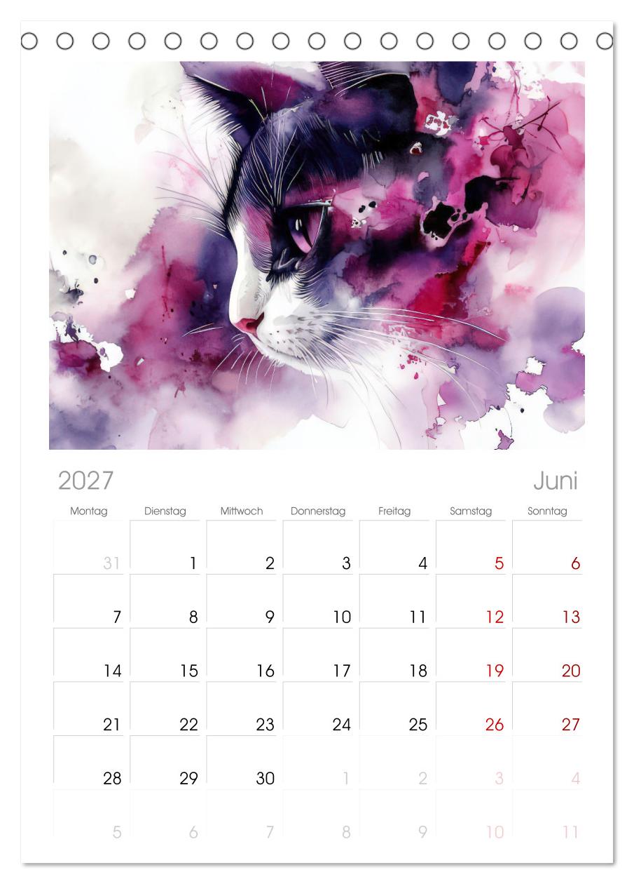 Katzensymphonie in Aquarell