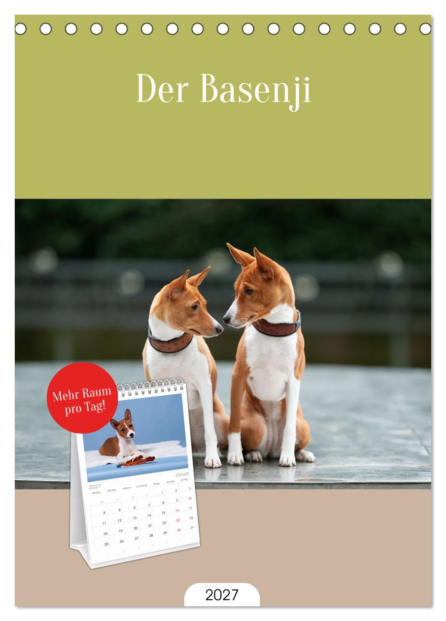 Der Basenji