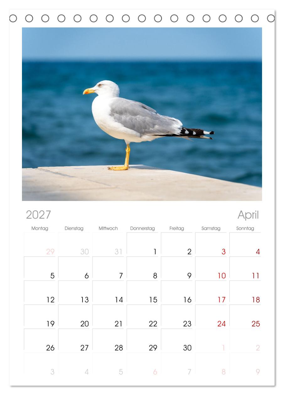 Koper - Slowenien Kalender