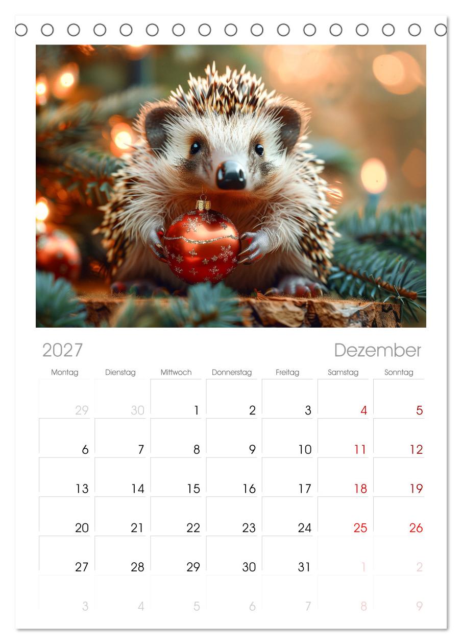 Lustige Igel