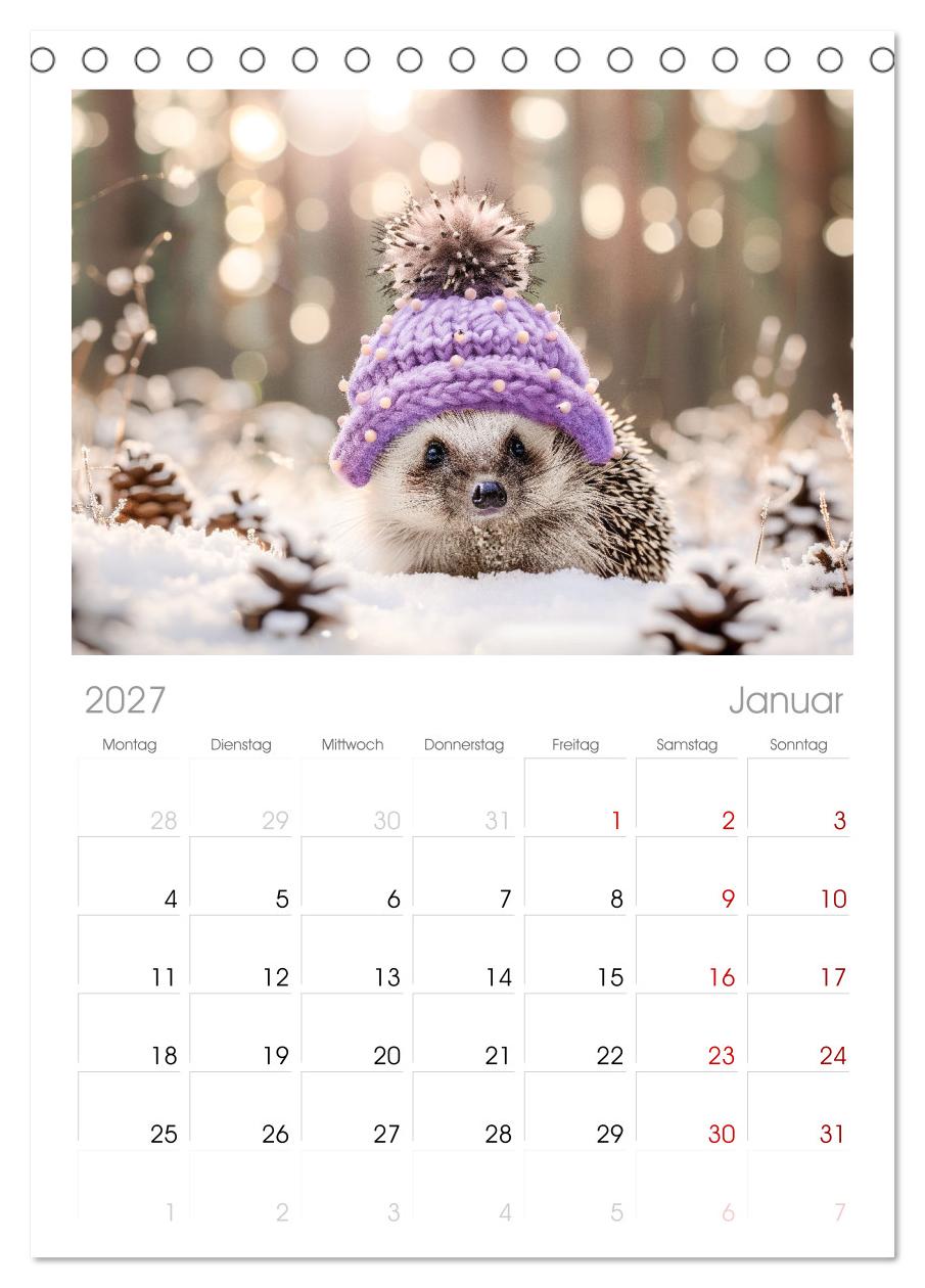 Lustige Igel