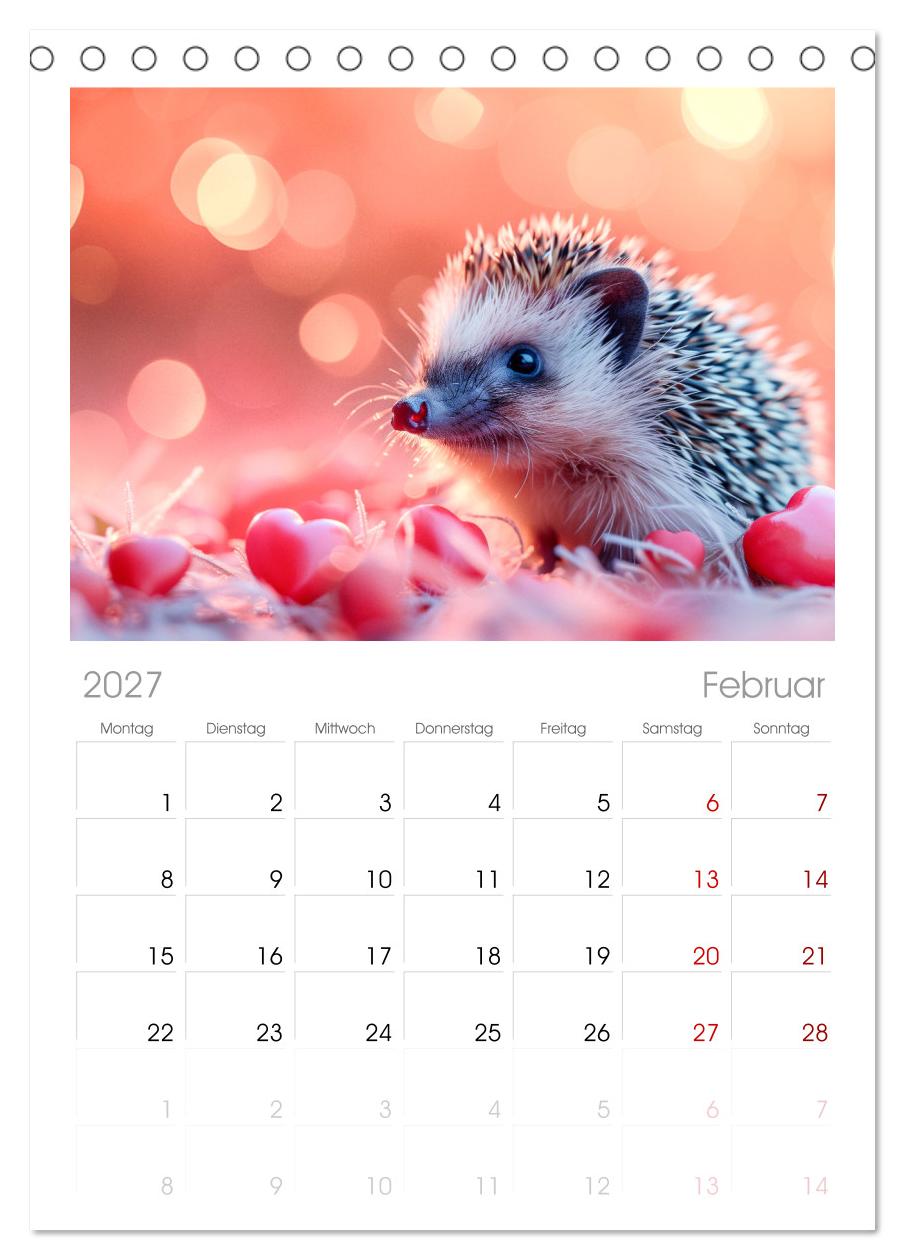 Lustige Igel