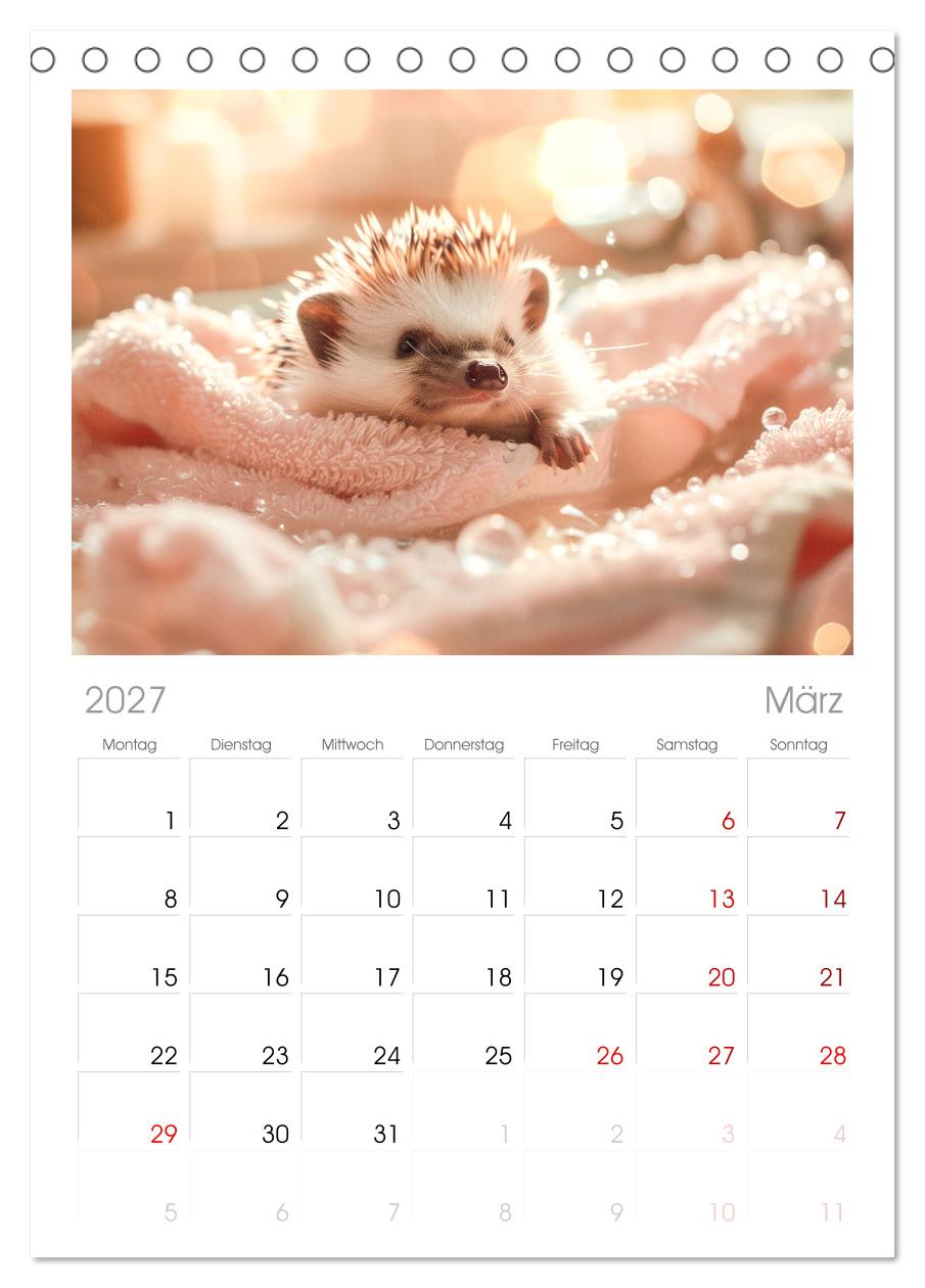 Lustige Igel