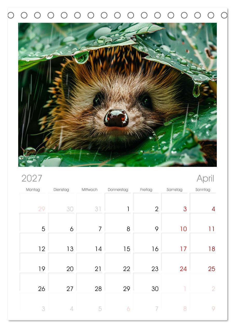 Lustige Igel