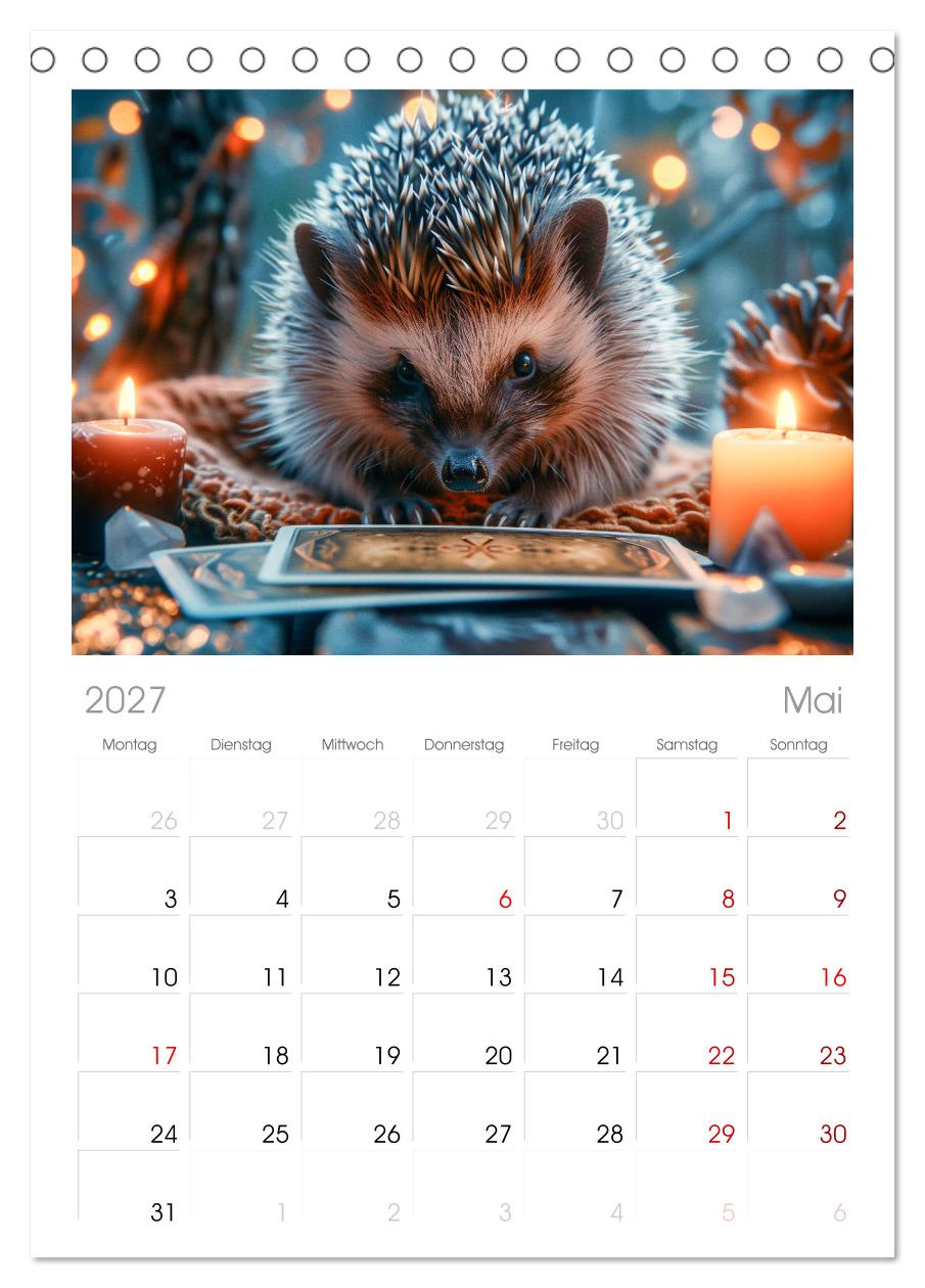 Lustige Igel