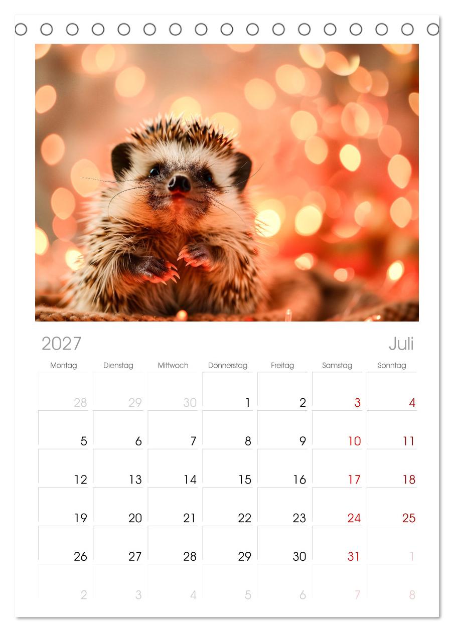 Lustige Igel