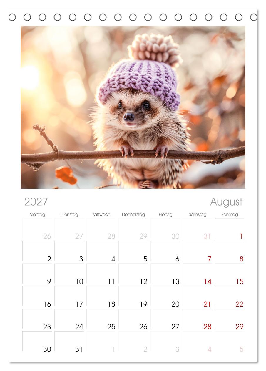 Lustige Igel