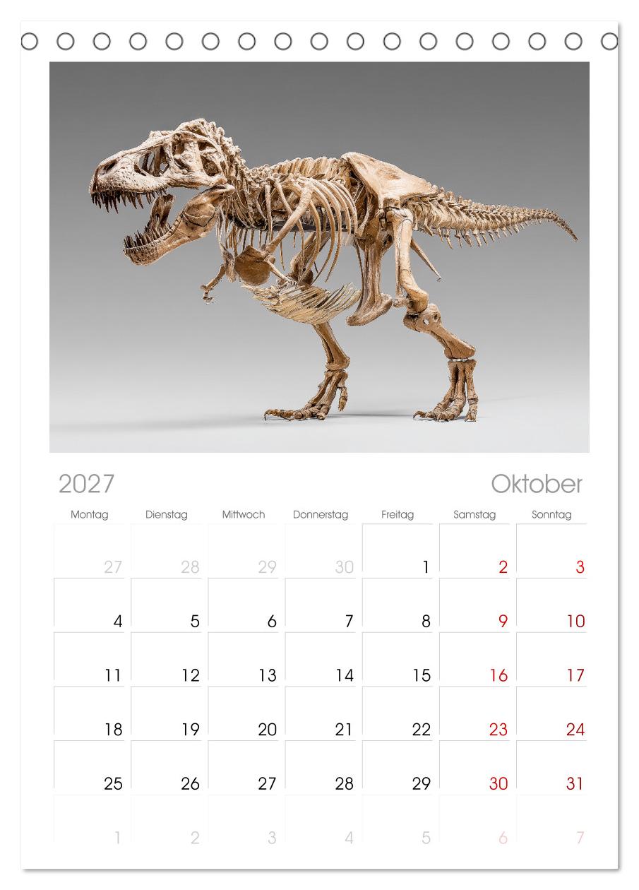Knochen der Giganten - Dinosaurier im Porträt