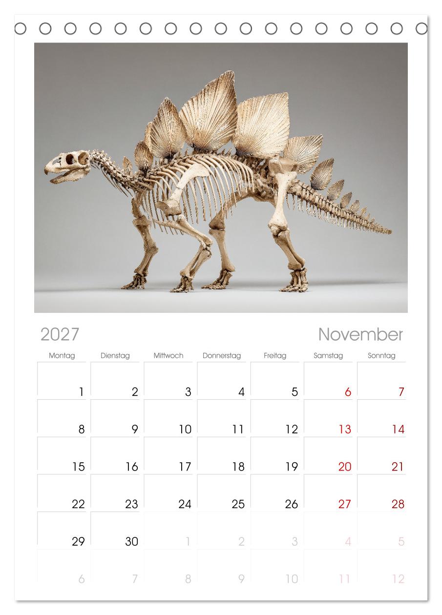 Knochen der Giganten - Dinosaurier im Porträt
