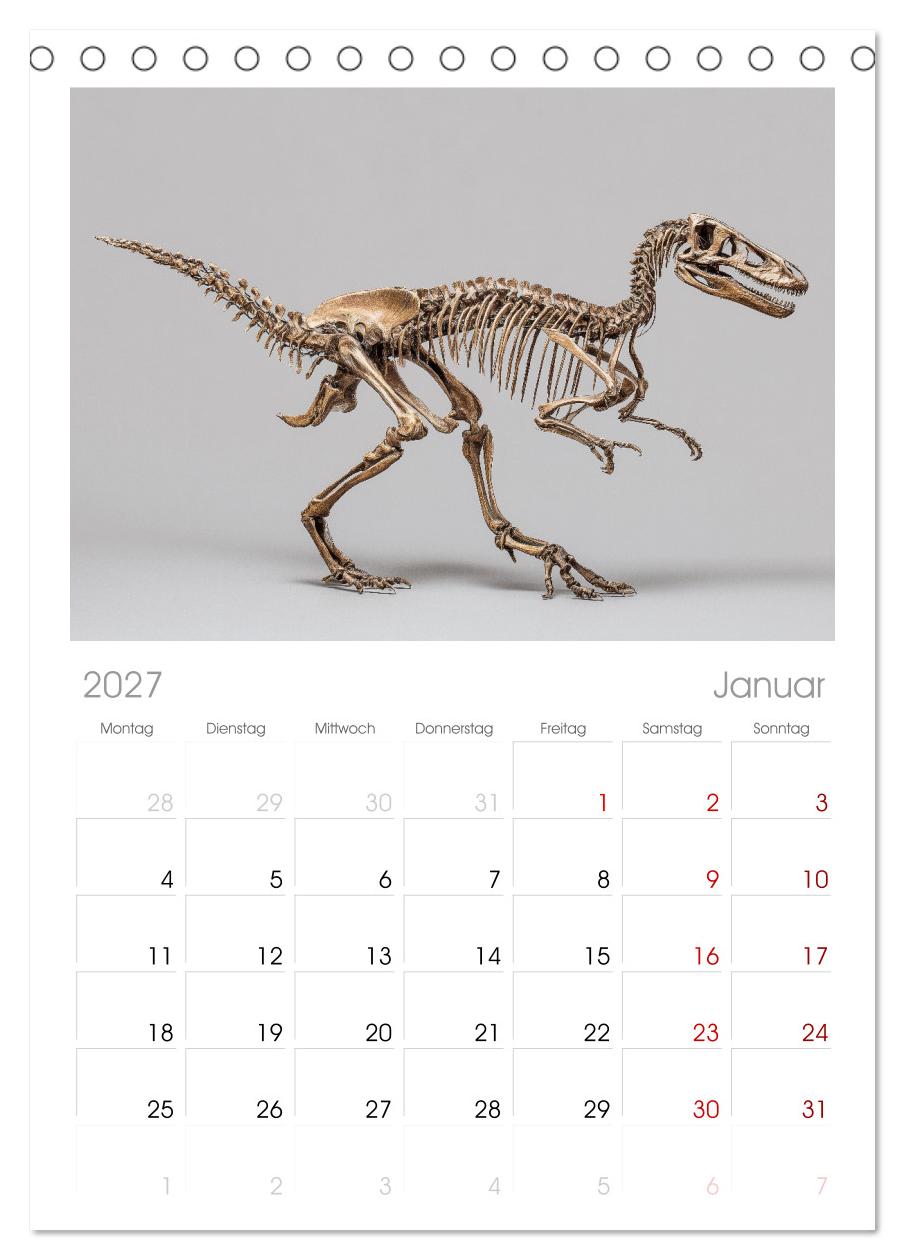 Knochen der Giganten - Dinosaurier im Porträt