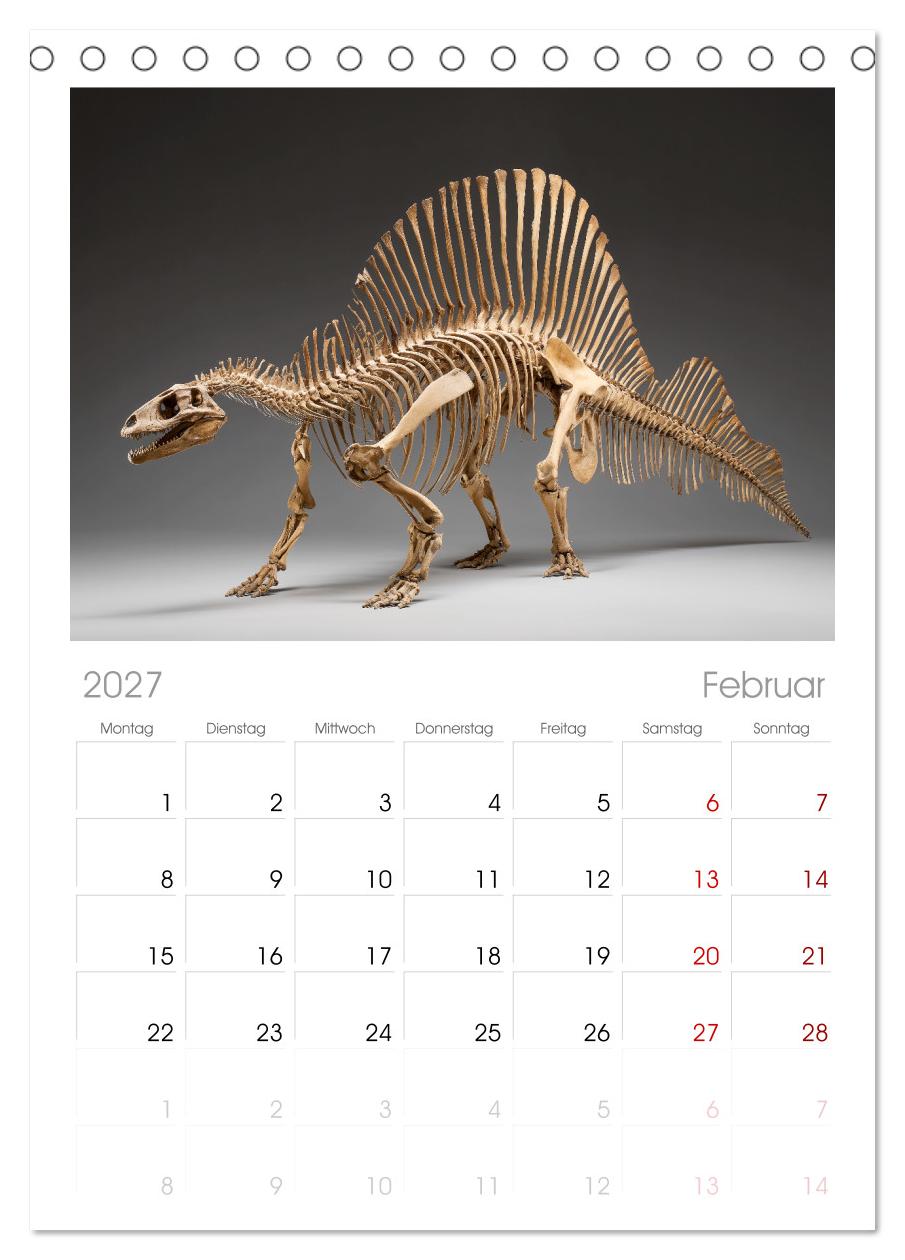 Knochen der Giganten - Dinosaurier im Porträt