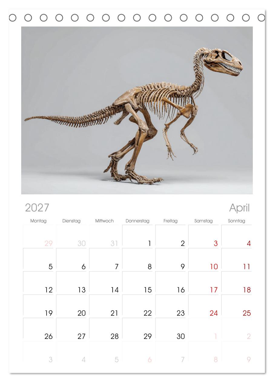 Knochen der Giganten - Dinosaurier im Porträt