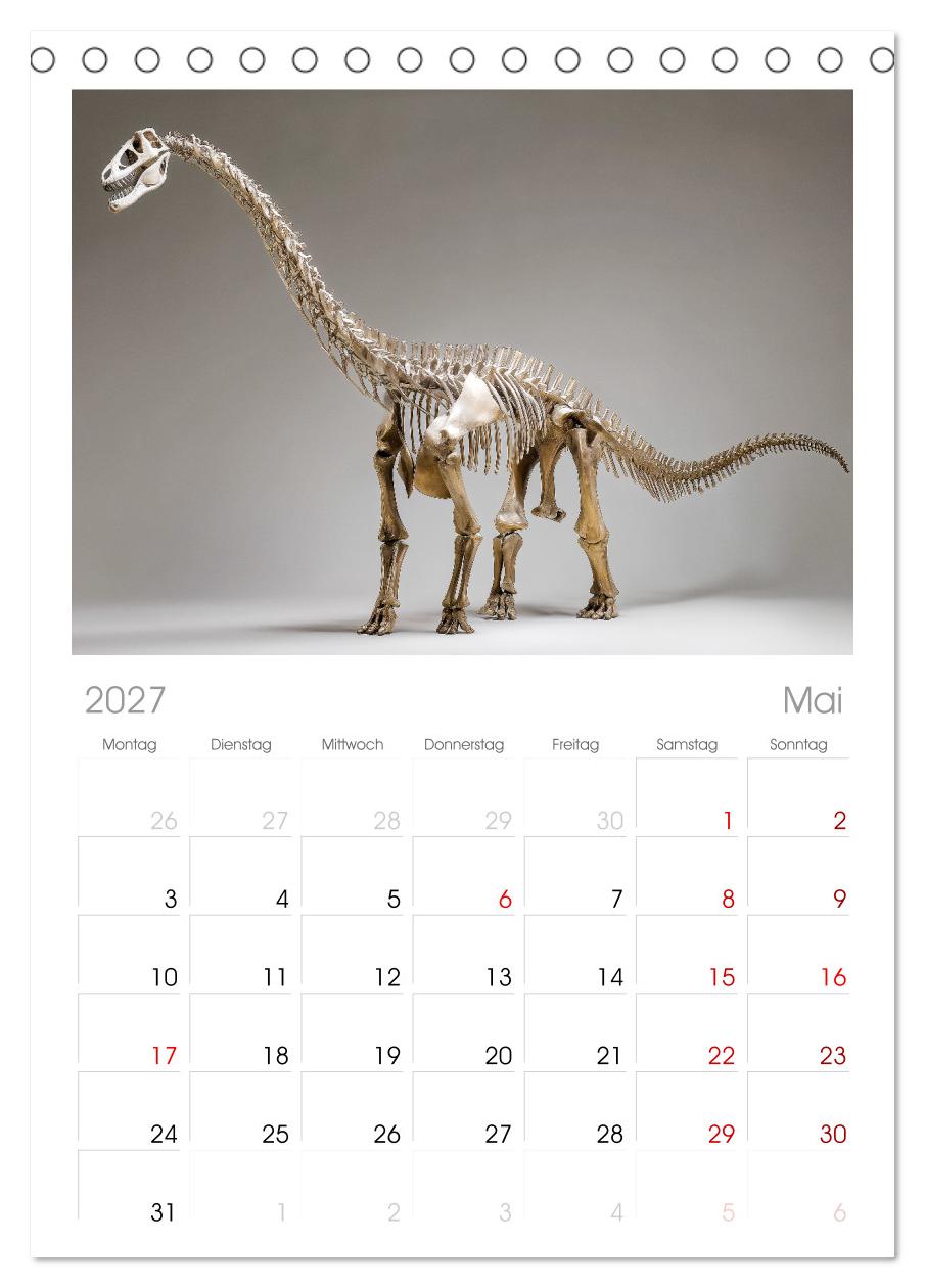 Knochen der Giganten - Dinosaurier im Porträt