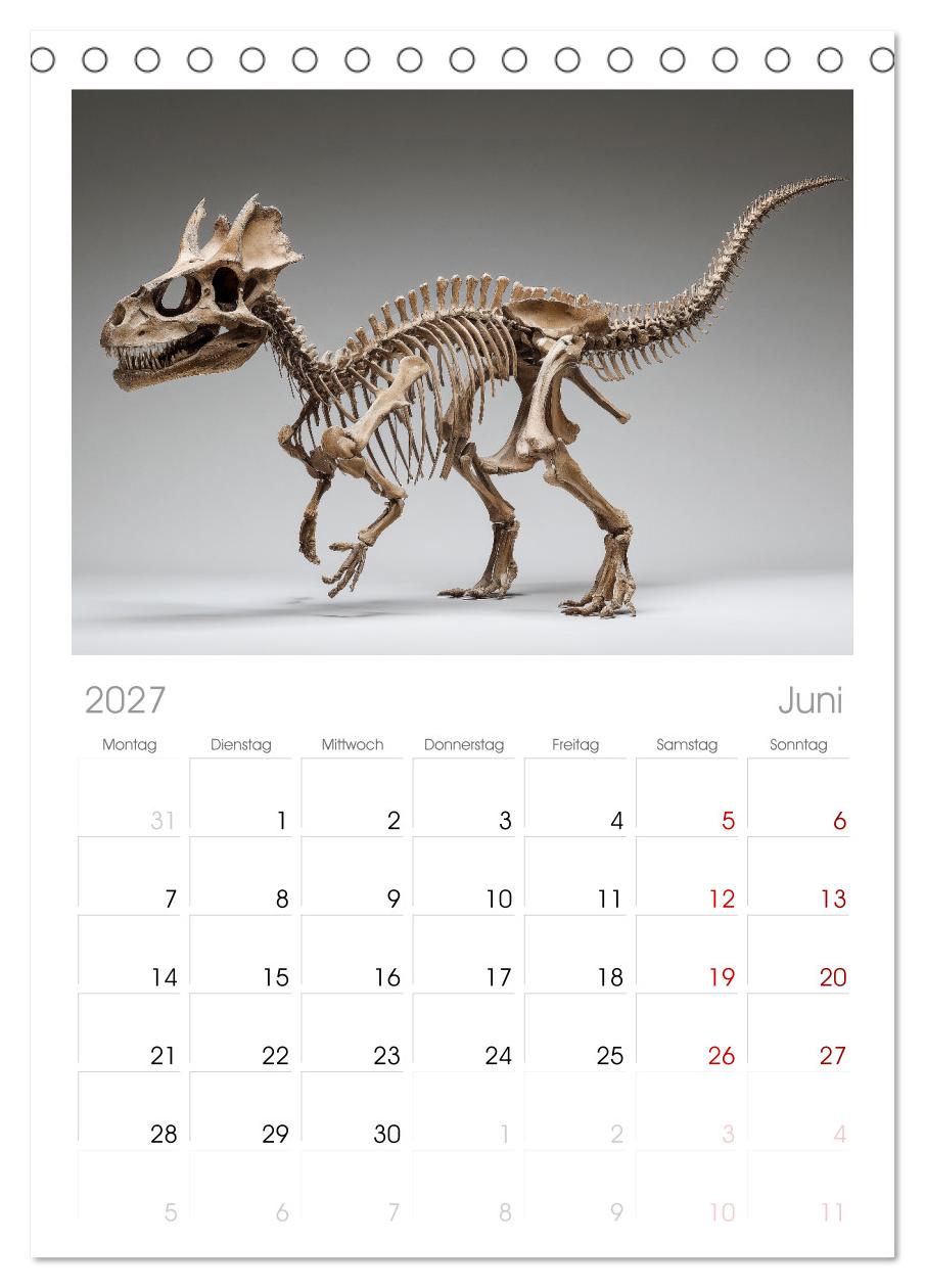 Knochen der Giganten - Dinosaurier im Porträt