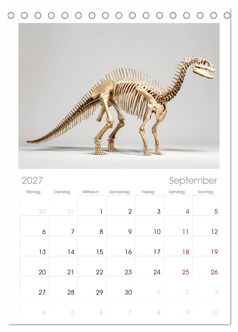 Knochen der Giganten - Dinosaurier im Porträt