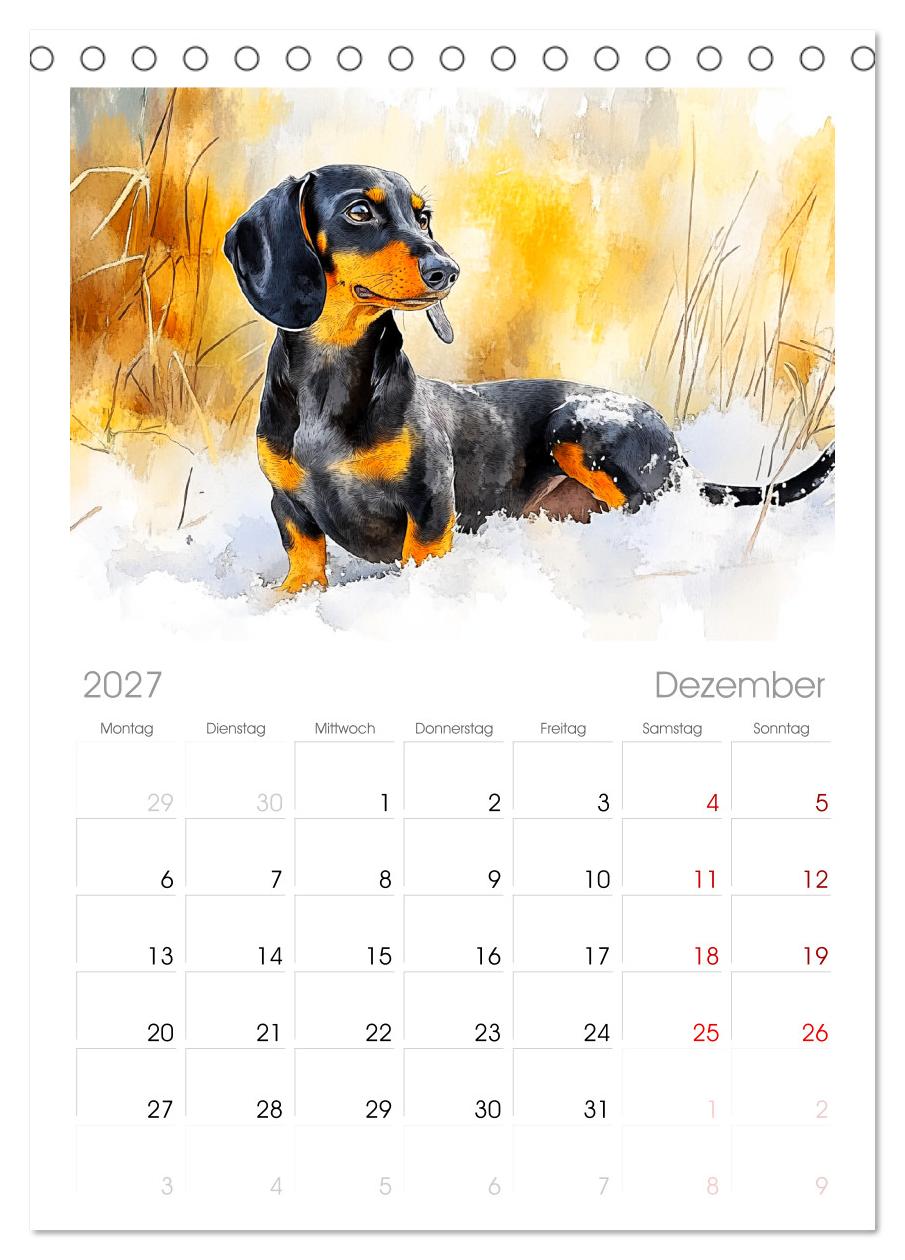 Dackelzauber. Charmante Begleiter im lieblichen Aquarell-Stil
