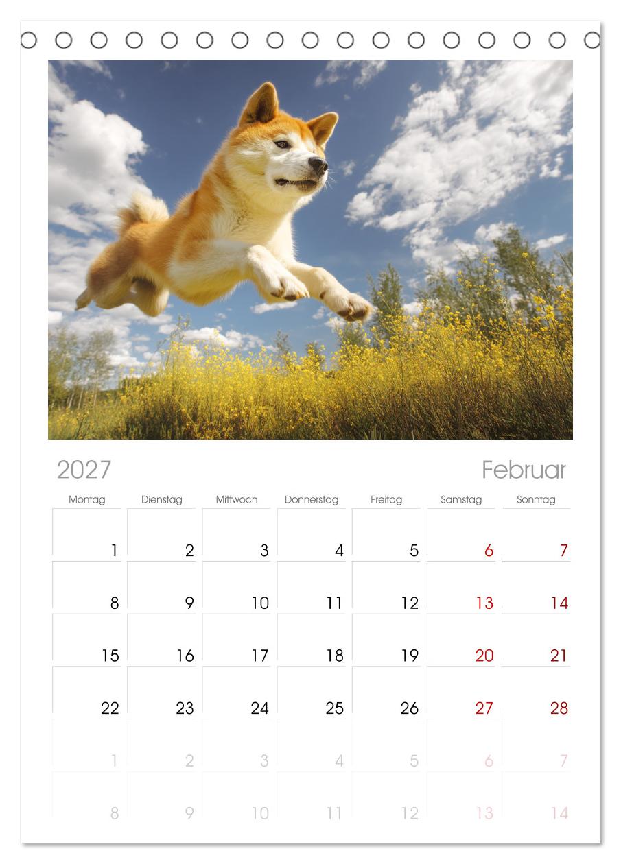 Akita Inu in der Natur. Japans edle und sanfte Schönheit