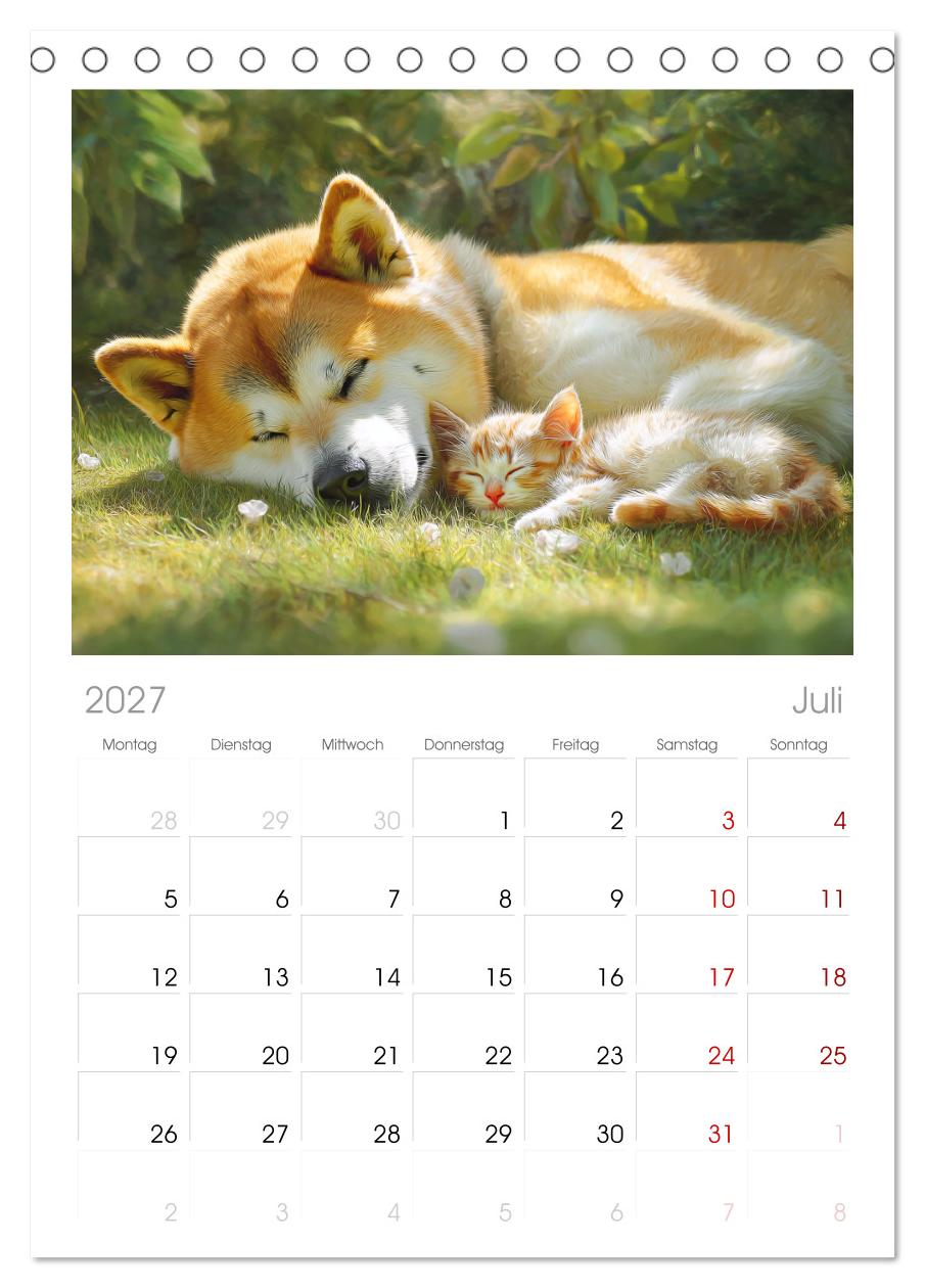 Akita Inu in der Natur. Japans edle und sanfte Schönheit