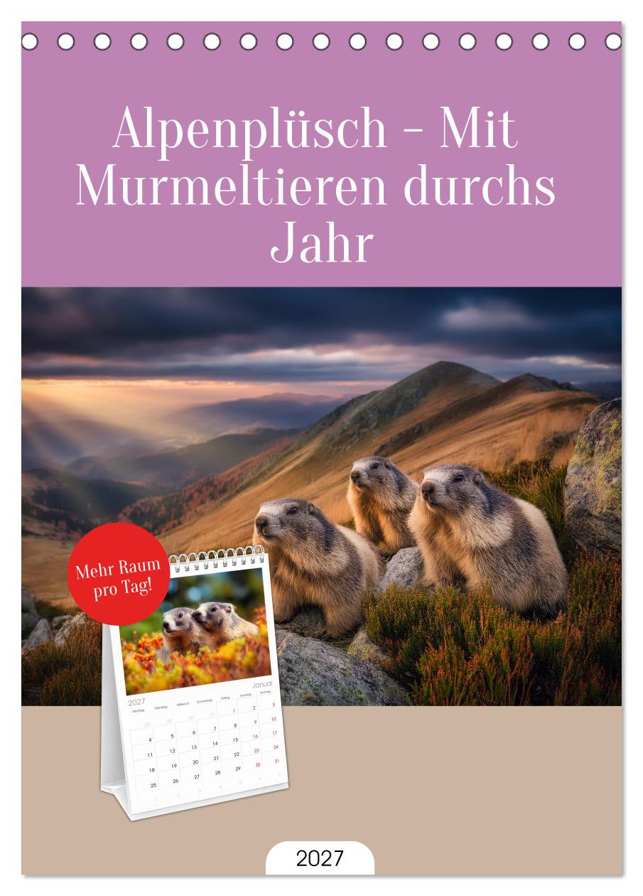 Alpenplüsch - Mit Murmeltieren durchs Jahr