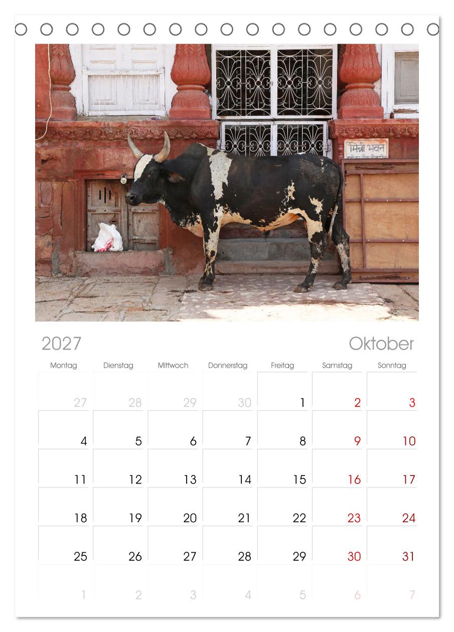 Typisch Indien - Unterwegs in Rajasthan