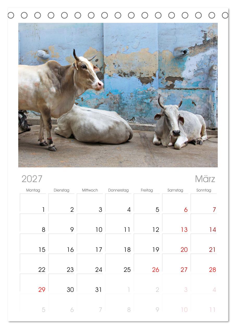 Typisch Indien - Unterwegs in Rajasthan