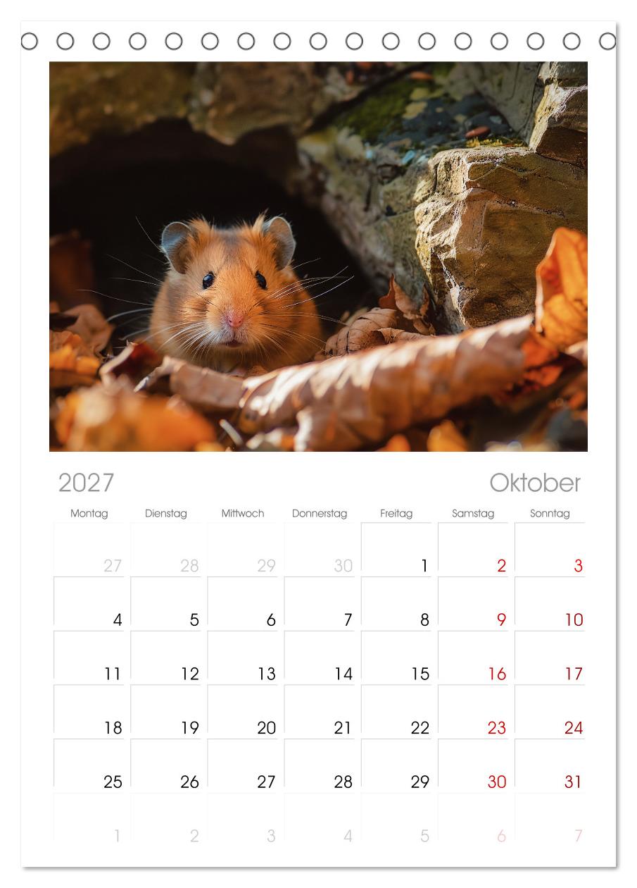 Wild und flauschig -  Hamster - Abenteuer in freier Natur