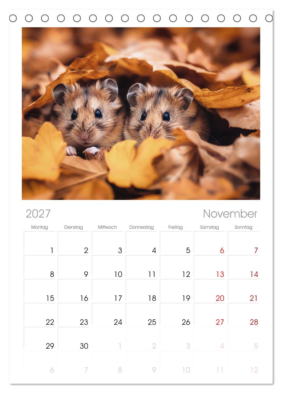 Wild und flauschig -  Hamster - Abenteuer in freier Natur