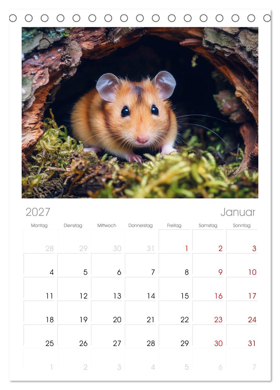 Wild und flauschig -  Hamster - Abenteuer in freier Natur