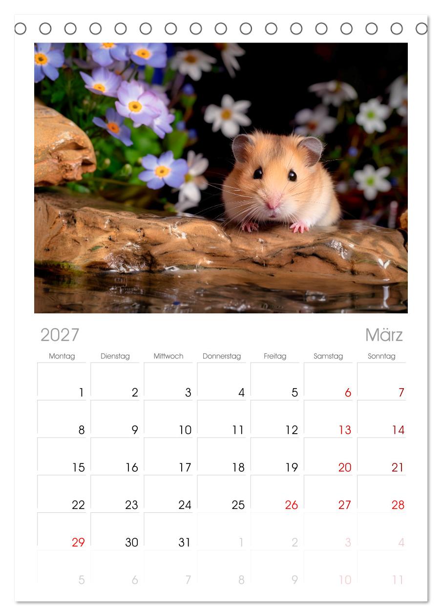 Wild und flauschig -  Hamster - Abenteuer in freier Natur