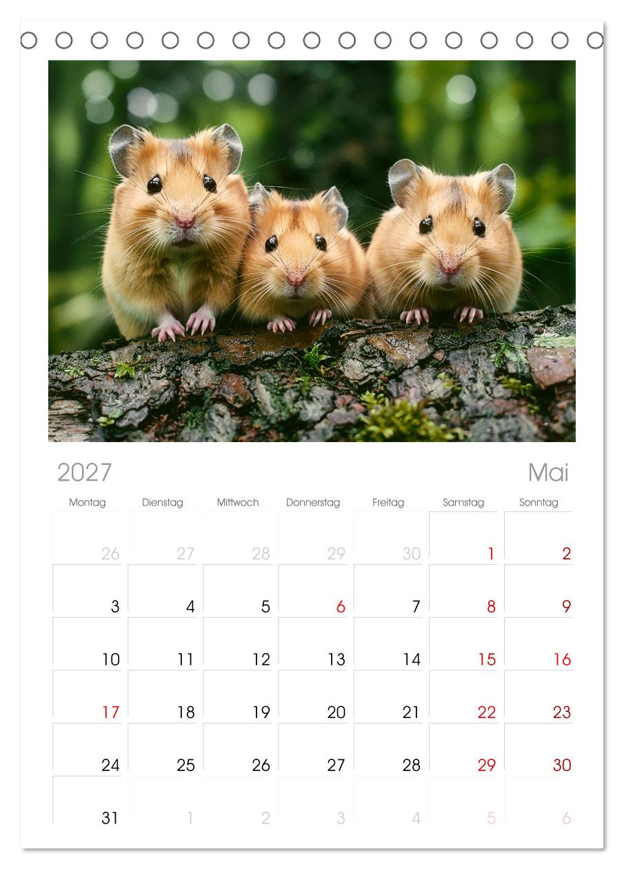 Wild und flauschig -  Hamster - Abenteuer in freier Natur