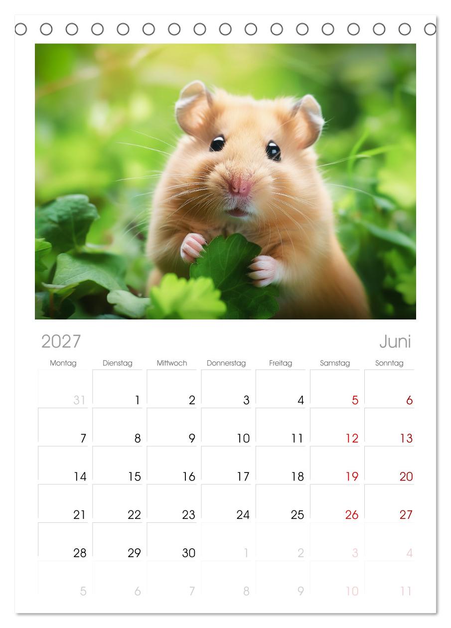 Wild und flauschig -  Hamster - Abenteuer in freier Natur