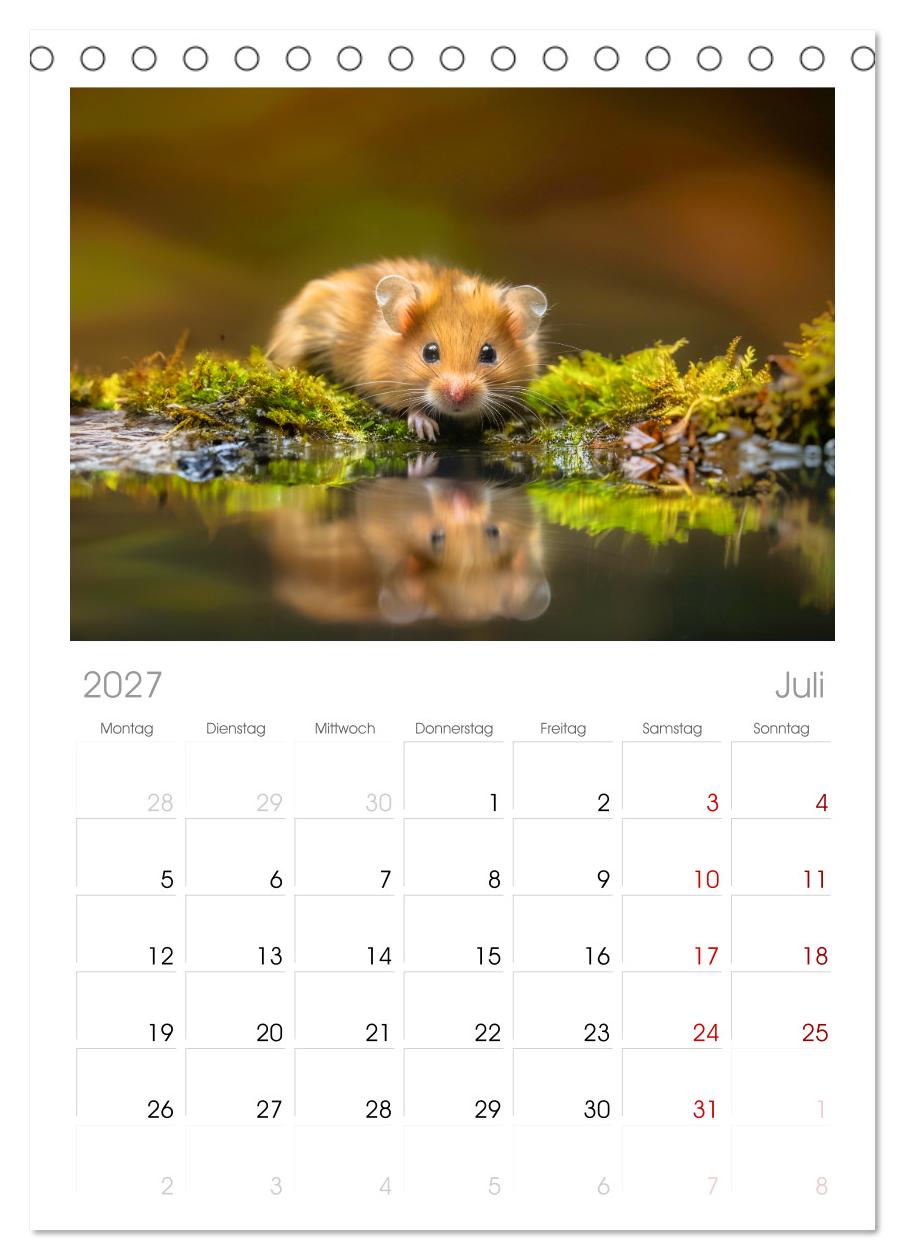 Wild und flauschig -  Hamster - Abenteuer in freier Natur