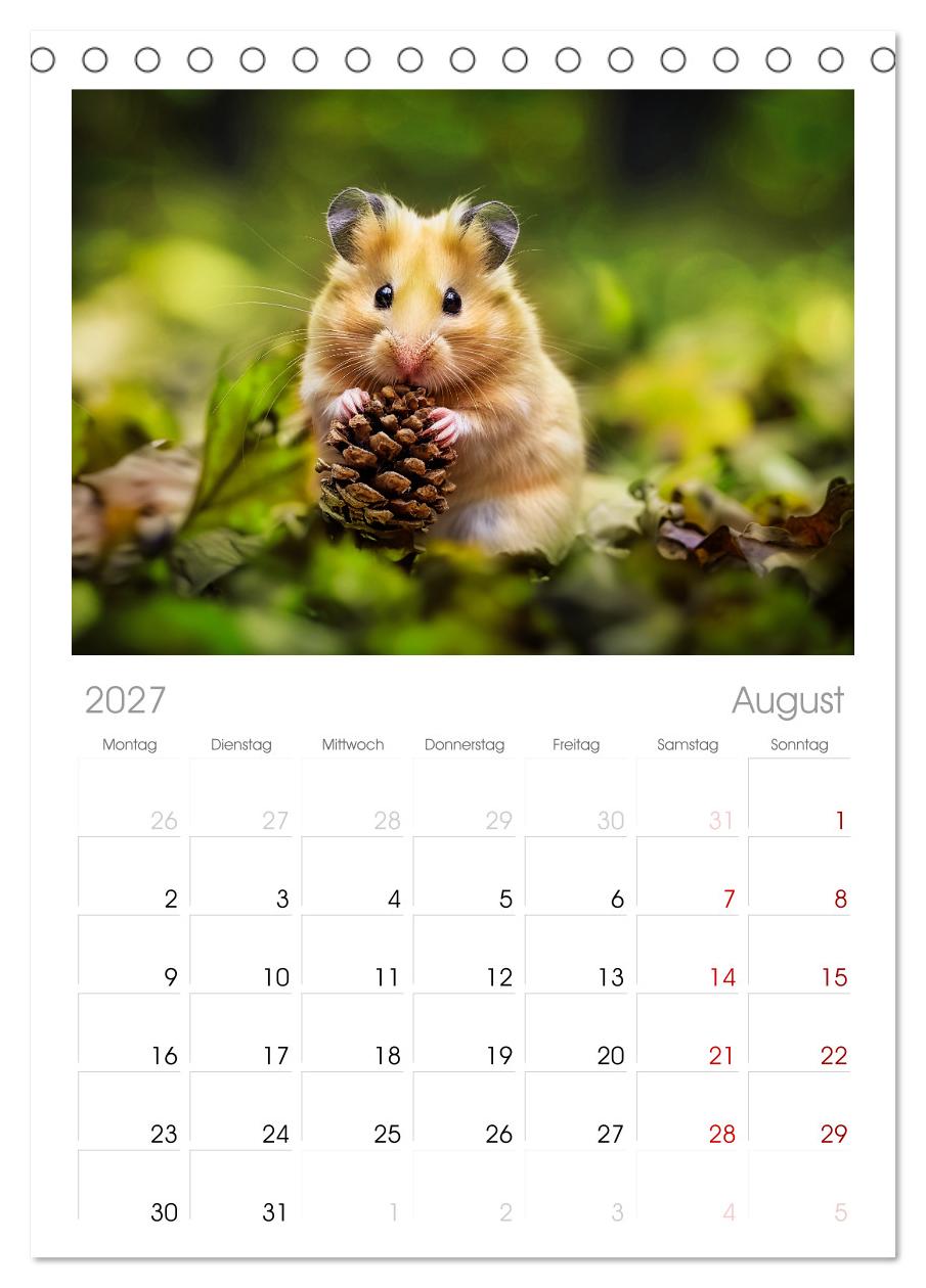 Wild und flauschig -  Hamster - Abenteuer in freier Natur
