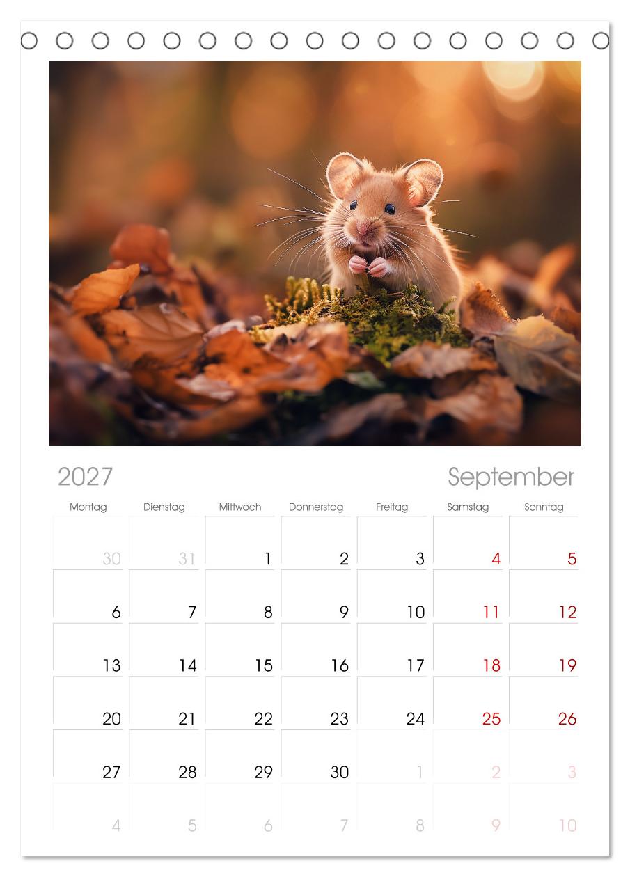 Wild und flauschig -  Hamster - Abenteuer in freier Natur