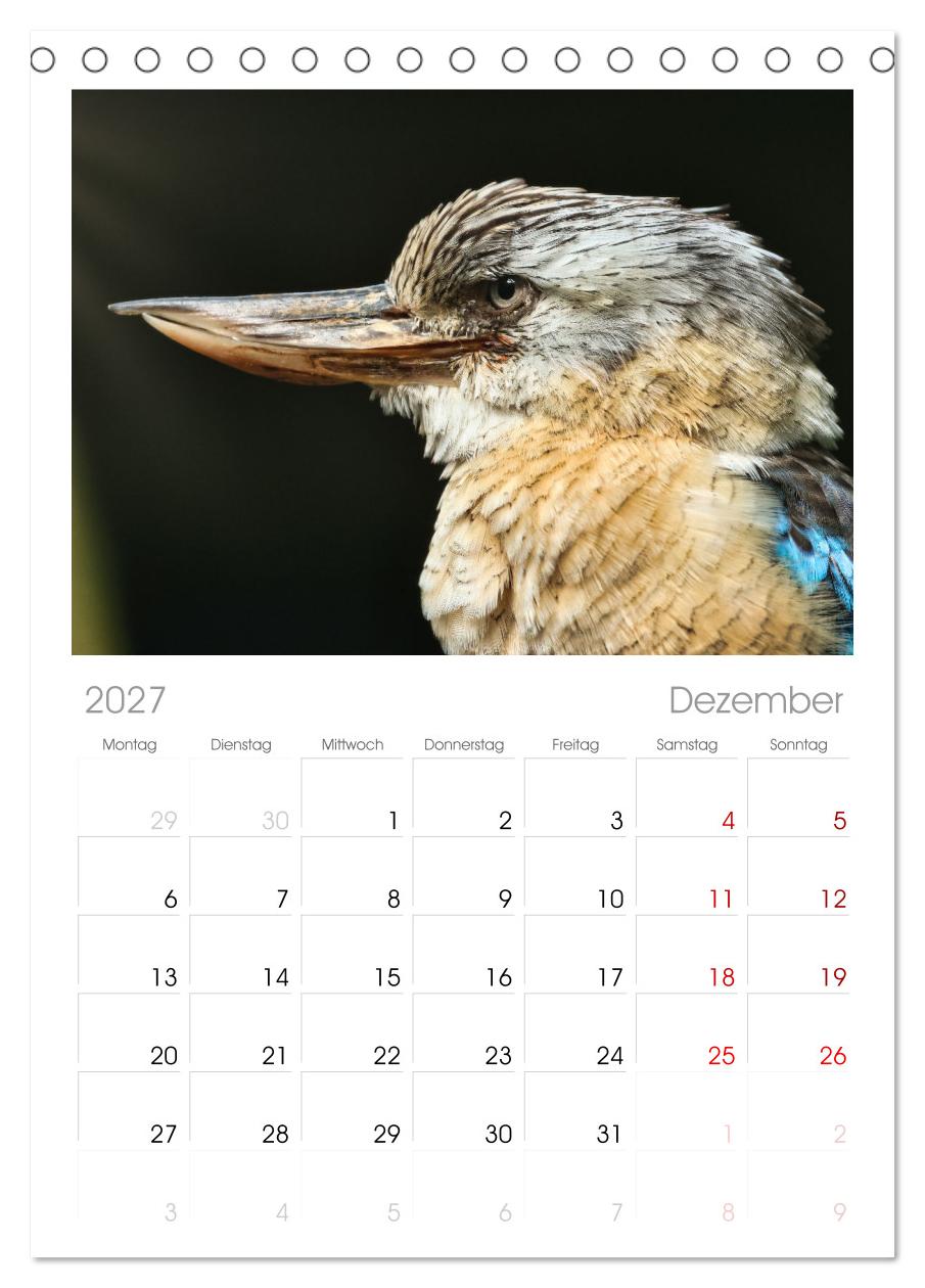 Imposante Vogelporträts