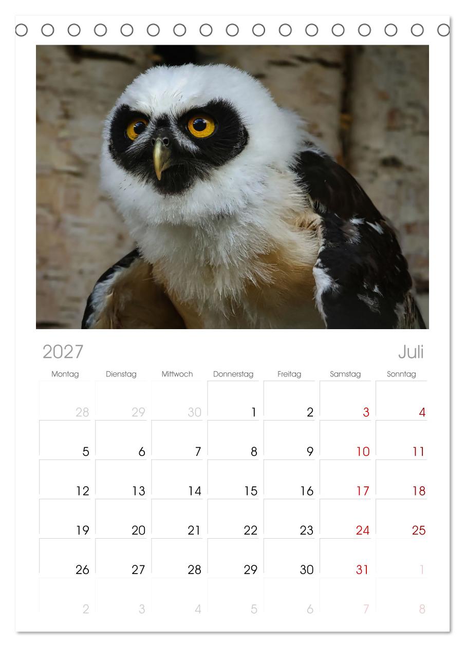 Imposante Vogelporträts