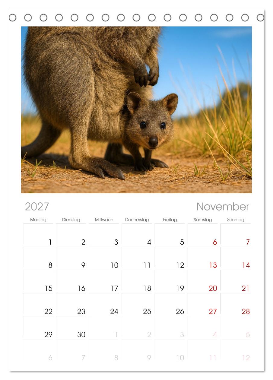 Die vielleicht nettesten Wildtiere